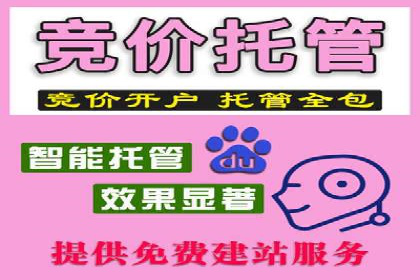 百度推广代运营公司：打造高效的网络营销团队